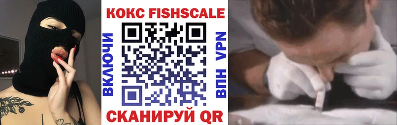 КОКАИН FishScale  где купить наркотик  Гудермес 
