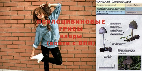 mdpv Бугульма